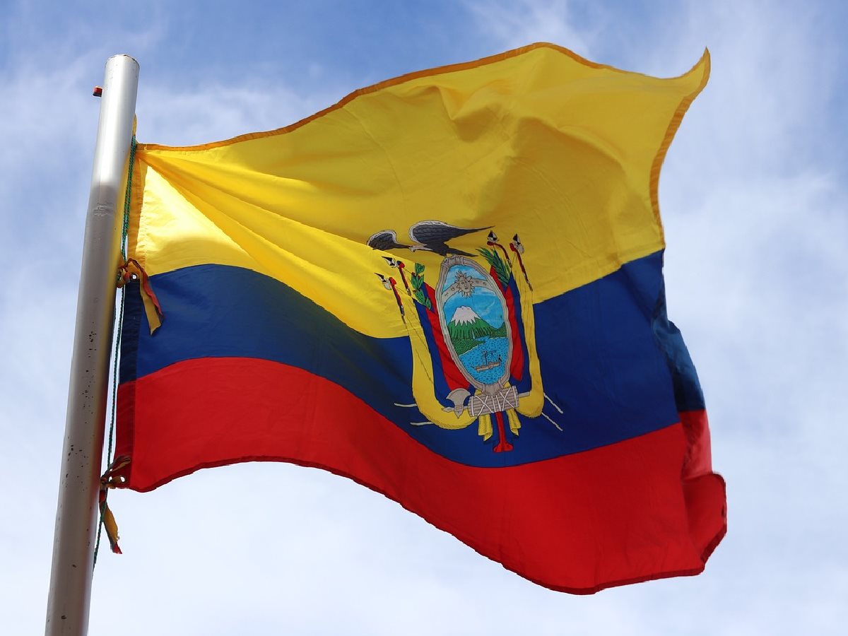 Envío a Ecuador: envío a medida para su negocio