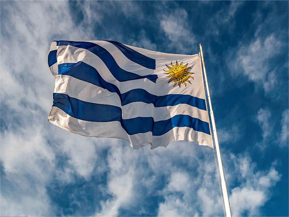 Tiempo de carga aérea y marítima manual de tarifas de fletes uruguay documentos ordinarios