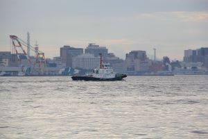 puerto japonés